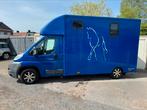 Paarden vrachtwagen b rijbewijs, 2-paards trailer, Gebruikt, Ophalen of Verzenden, Aluminium