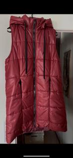 Lange Bodywarmer Maat M donkerrood rood muts capuchon rits, Ophalen of Verzenden, Zo goed als nieuw, Maat 38/40 (M), Rood
