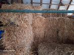 Te koop stro, Dieren en Toebehoren, Dierenvoeding, Ophalen