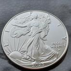 2025 American Eagle 1 oz silver, Ophalen of Verzenden, Noord-Amerika, Zilver