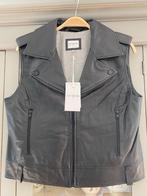 Gillet Est seven echt leer zwart maat L Nieuw, Kleding | Dames, Bodywarmers, Zwart, Maat 42/44 (L), Nieuw, Ophalen of Verzenden