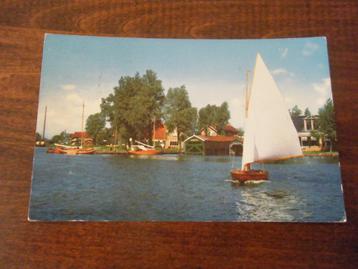 N31 - Grouw - Zeilen - 1962 - Mooi/Oud beschikbaar voor biedingen
