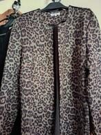Green lepard print coat suede look, Kleding | Dames, Maat 38/40 (M), Overige kleuren, Ophalen of Verzenden, Zo goed als nieuw