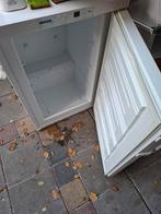 Vriezer tafelmodel doet het prima, Ophalen, Gebruikt, Minder dan 60 cm, Minder dan 85 cm