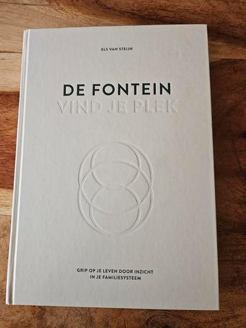 De Fontein - Els van Steijn (Zo goed als nieuw) beschikbaar voor biedingen