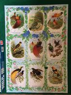 puzzel vogels 1000 stukjes (minus 1), Ophalen of Verzenden, 500 t/m 1500 stukjes, Gebruikt, Legpuzzel