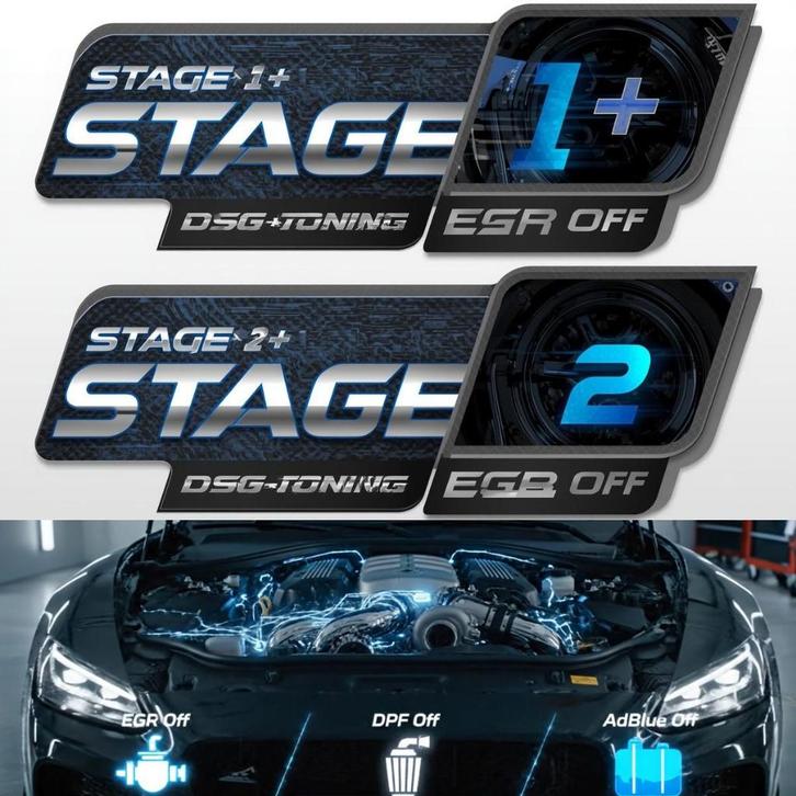 Chiptuning Stage 1+ / Stage 2+ / EGR Off / DSG Tuning, Auto diversen, Tuning en Styling, Ophalen