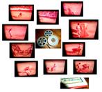 8mm film amateur stiervechten in spanje EL CORDOBEZ N8, Audio, Tv en Foto, Filmrollen, Verzenden, 8mm film