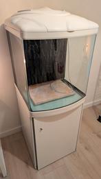 Aquarium sera cube 130L t.e.a.b., Dieren en Toebehoren, Ophalen, Gebruikt, Leeg aquarium