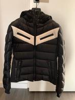 Bogner Fire + Ice zwarte skijas, maat 38 (M), Ophalen of Verzenden, Zo goed als nieuw, Maat 38/40 (M), Jack