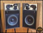 Bose 301 series II, Audio, Tv en Foto, Luidsprekers, Gebruikt, ., Ophalen of Verzenden, .