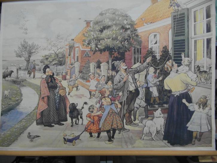 Jetses schoolplaat 2switchonline, Antiek en Kunst, Antiek | Schoolplaten, Natuur en Biologie, Ophalen