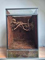 Terrarium, Dieren en Toebehoren, Ophalen, Zo goed als nieuw, Terrarium of Paludarium