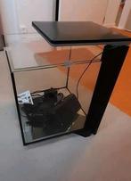 Aquarium superfish qubiq 30 l, Dieren en Toebehoren, Vissen | Aquaria en Toebehoren, Ophalen, Gebruikt, Leeg aquarium