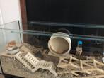 Hamsters hij, kooi, glazen bak, aquarium, Dieren en Toebehoren, Knaagdieren en Konijnen | Hokken en Kooien, 110 cm of meer, Hamster