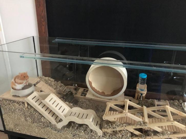 Hamsters hij, kooi, glazen bak, aquarium, Dieren en Toebehoren, Knaagdieren en Konijnen | Hokken en Kooien, Zo goed als nieuw