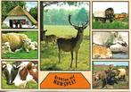 Nunspeet- -7-luik., Verzenden, 1980 tot heden, Gelopen, Gelderland