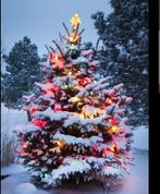 Gezocht kerst spullen, Diversen, Kerst, Ophalen