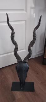 Grote 50cm Ram Skull Beeld ♥️SALE VERKOOP♥️, Verzamelen, Beelden en Beeldjes, Ophalen of Verzenden, Nieuw, Dier