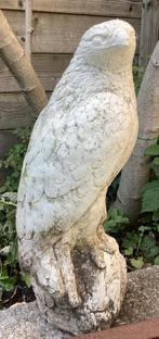 Tuinbeeld steen roofvogel havik arend valk, Tuin en Terras, Tuinbeelden, Ophalen, Gebruikt, Steen, Dierenbeeld