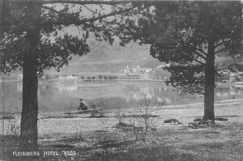 (379-144-005) Voss, Verzamelen, Ansichtkaarten | Buitenland, Buiten Europa, Verzenden