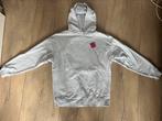 Amy&Ivy hoodie/ trui/ sweater maat S grijs, Ophalen of Verzenden, Maat 36 (S), Grijs, Amy & Ivy