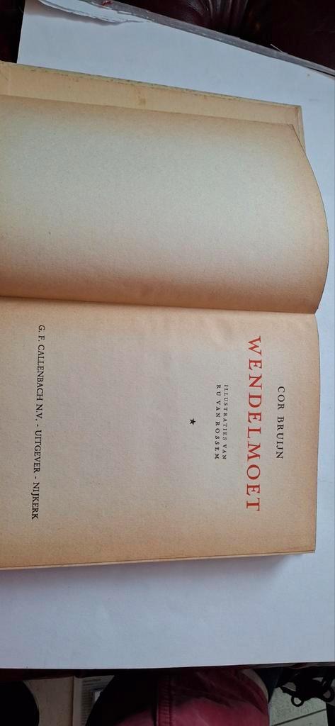 Wendelmoet - Cor Bruijn (Gelezen), Boeken, Literatuur, Zo goed als nieuw, Nederland, Ophalen of Verzenden