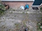 Waaltjes en tegels gratis af te halen, Ophalen, Gebruikt, Beton, Klinkers