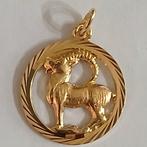 14 karaat geelgouden hanger.  VERKOCHT!, Ophalen of Verzenden, Zo goed als nieuw, Goud, Goud