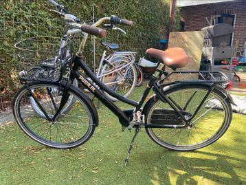 Gazelle puur beschikbaar voor biedingen