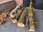 Haardhout / brandhout, Minder dan 3 m³, Ophalen of Verzenden