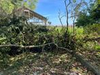 Hout voor open haard gratis, Tuin en Terras, Haardhout, Minder dan 3 m³, Ophalen, Overige houtsoorten, Stammen