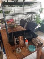 Zwarte kooi voor o.a. ratjes, Ophalen, Kooi, Gebruikt, 60 tot 90 cm