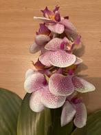 Kunst orchideeën, Ophalen of Verzenden, Zo goed als nieuw