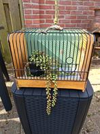 Vintage houten vogel kanarie kooi 30-24-18cm inzetbare bak, Ophalen of Verzenden