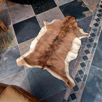 Dierenhuid beschikbaar voor biedingen