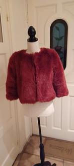 Rood nep bontjasje maat S / M, Kleding | Dames, Ophalen of Verzenden, Maat 38/40 (M), Carnaval