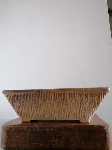 Retro vintage cactusschaal bloempot  beschikbaar voor biedingen