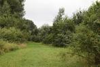 Gezocht..Weide..Bosperceel..Recreatiegrond.., Dieren en Toebehoren, Stalling en Weidegang
