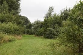 Gezocht..Weide..Bosperceel..Recreatiegrond.., Dieren en Toebehoren, Stalling en Weidegang