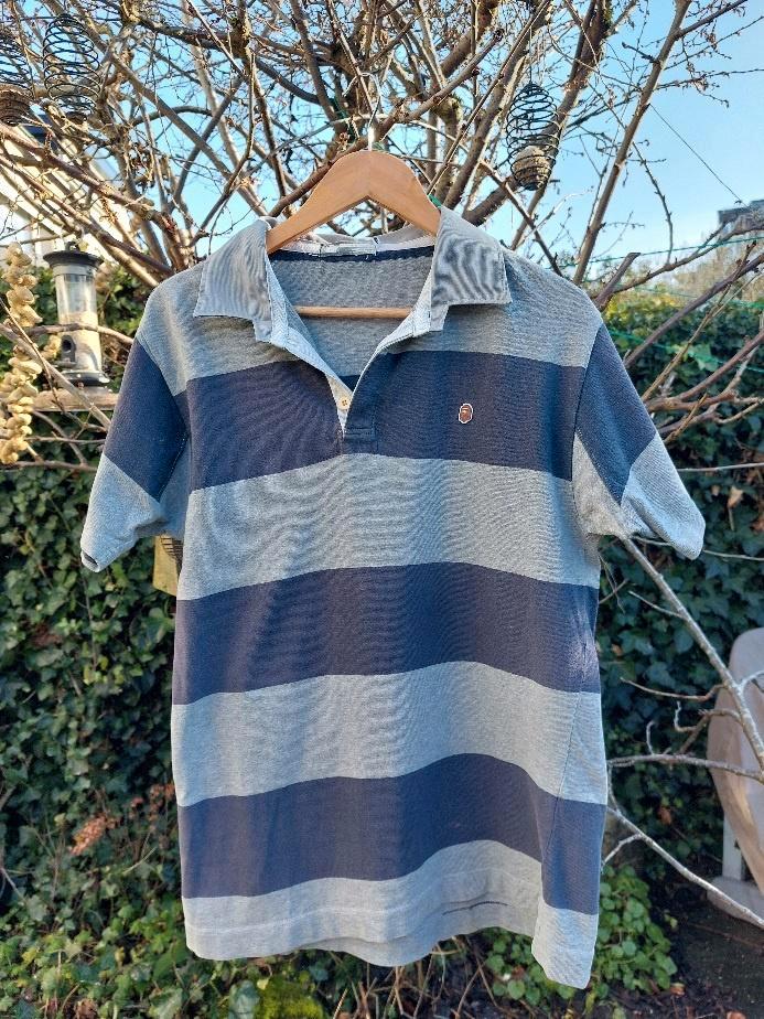 Bape Polo maat M grijs met brede streep, Kleding | Heren, Polo's, Gedragen, Maat 48/50 (M), Grijs, Ophalen of Verzenden