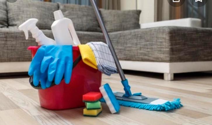 Hulp gevraagd, Diensten en Vakmensen, Huishoudelijke hulp