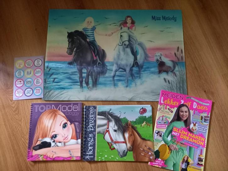 Bureaulegger Miss Melody en knutselboekjes, Kinderen en Baby's, Speelgoed | Educatief en Creatief, Zo goed als nieuw, Ophalen