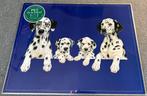 6x Placemat Dalmatier 55x42cm, Dieren en Toebehoren, Nieuw, Ophalen of Verzenden, Nvt, Nvt