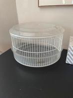 Muizen kooitje, Minder dan 60 cm, Kooi, Gebruikt, Minder dan 75 cm