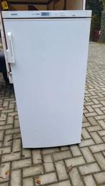 Goed werkende diepvries - wegens samenwonen, Witgoed en Apparatuur, Ophalen of Verzenden