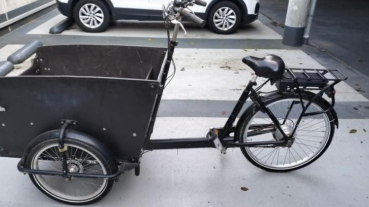 Degelijk electrische bakfiets voor kinderen of honden, Fietsen en Brommers, Fietsen | Bakfietsen, Gebruikt, 2 kinderen, Elektrisch