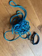 Halsband kat met lange lijn, Dieren en Toebehoren, Katten-accessoires, Ophalen of Verzenden, Zo goed als nieuw