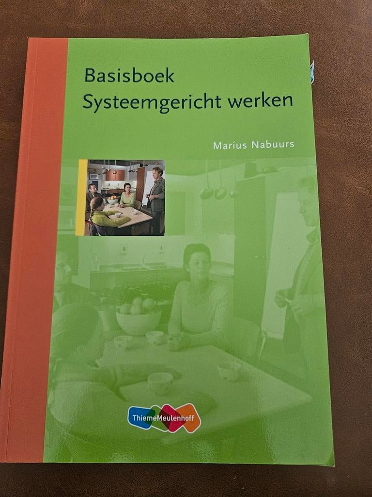 M. Nabuurs - Basisboek systeemgericht werken, Ophalen of Verzenden, Zo goed als nieuw, M. Nabuurs