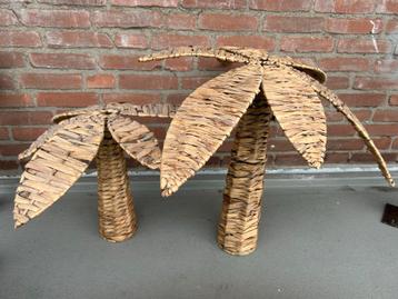 Decoratieve Palmboom - Sfeermaker! beschikbaar voor biedingen